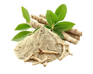 L-Arginine HCl & Tongkat Ali Root